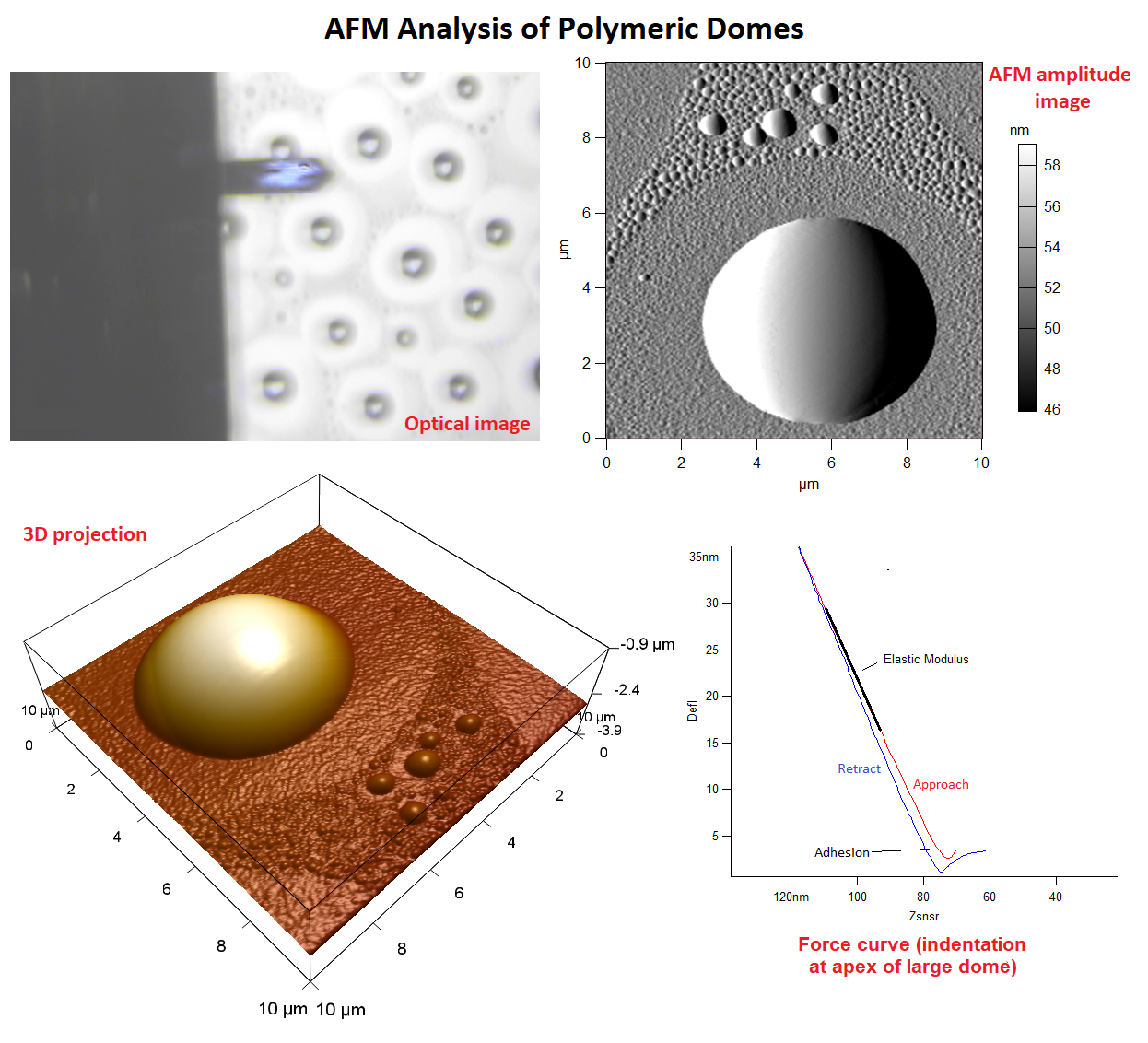 Composite image of AFM analysis of polymer domes including an optical image, an AFM amplitude image, a 3D projection, and a force curve