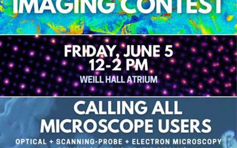 Cornell Imaging Contest 2026