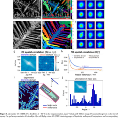 Operando Heating and Cooling Electrochemical 4D-STEM Probing Nanoscale Dynamics at Solid−Liquid Interfaces; Kim et al. https://doi.org/10.1021/jacs.5c05005