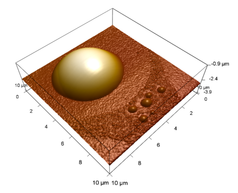 3D projection of AFM image of polymer domes